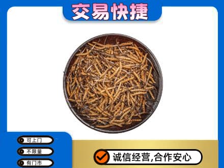 路桥区回收散虫草